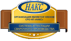логотип накс